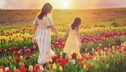 46298aa2-c2e9-4b2f-ac46-e4aa1a319935