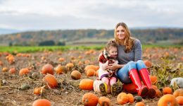 Little preschool girl and young mother on pumpkin patch with lots of pumpkins in autumn field. Happy child and woman, family enjoying harvest season outdoors. Real life, real people.
