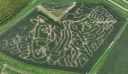 Clydesdale Corn Maze 2026