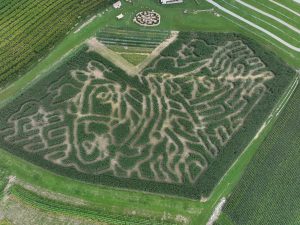 Clydesdale Corn Maze 2026