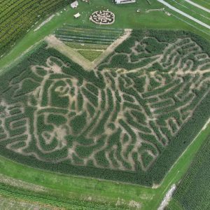 Clydesdale Corn Maze 2026