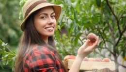 Peach Fest 2024 Facebook Event Cover