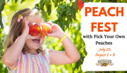 Peach Fest - Event Cover 2023