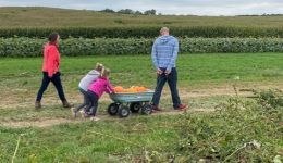 Pumpkin picking - wagon and 2 kids and parents