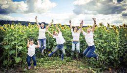 Sunflower Field - Family Jumping