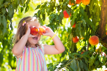 Purchase Tickets Here